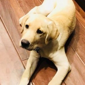 Meet your Posher, Mitch